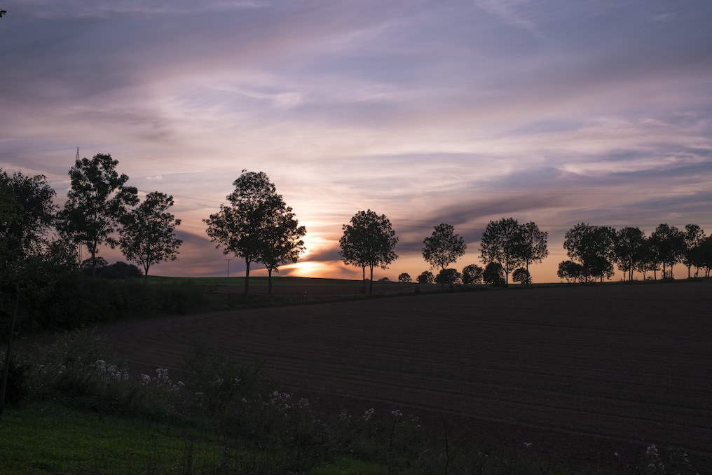 Sunset in the Autumn.jpg